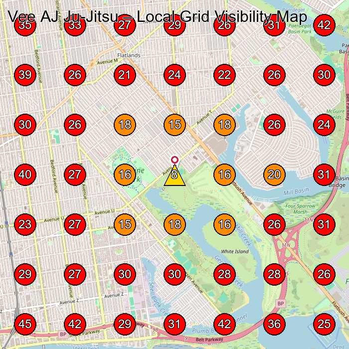 Vee AJ Ju-Jitsu GeoGrid visibility map for Self Defense School in Brooklyn